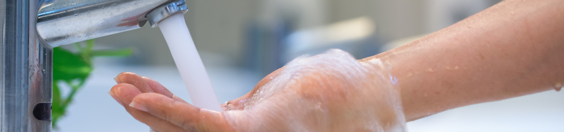 Everything You Ever Wanted to Know About Water Heaters
